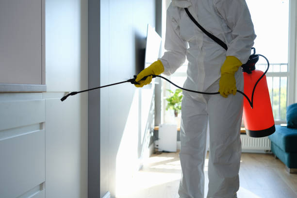 Best Crawl Space Mold Removal  in Kahaluu Keauhou, HI