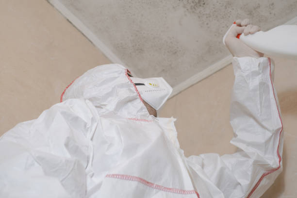 Best Commercial Mold Removal  in Kahaluu Keauhou, HI