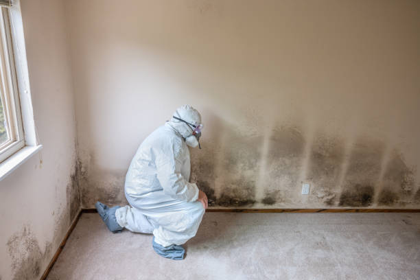 Best Office Mold Removal Services  in Kahaluu Keauhou, HI