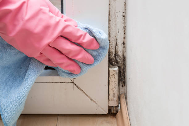 Best Mold Cleaning Services  in Kahaluu Keauhou, HI