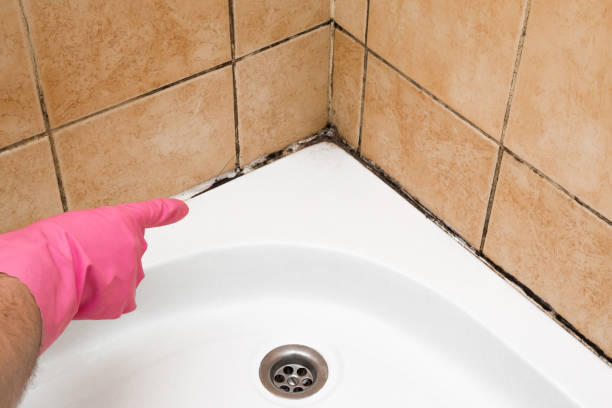 Best Affordable Mold Removal  in Kahaluu Keauhou, HI